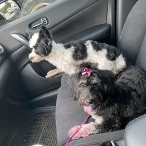 Meet your Posher, Leslie